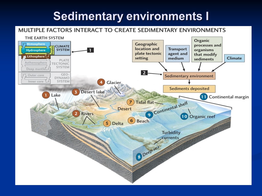 Sedimentary environments I